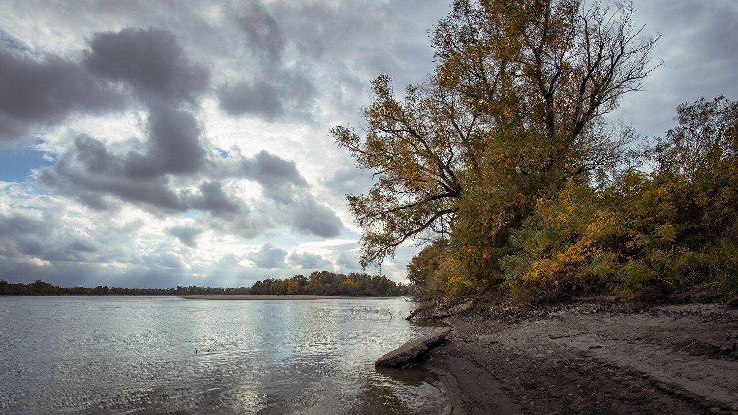 , Вадим Коваленко