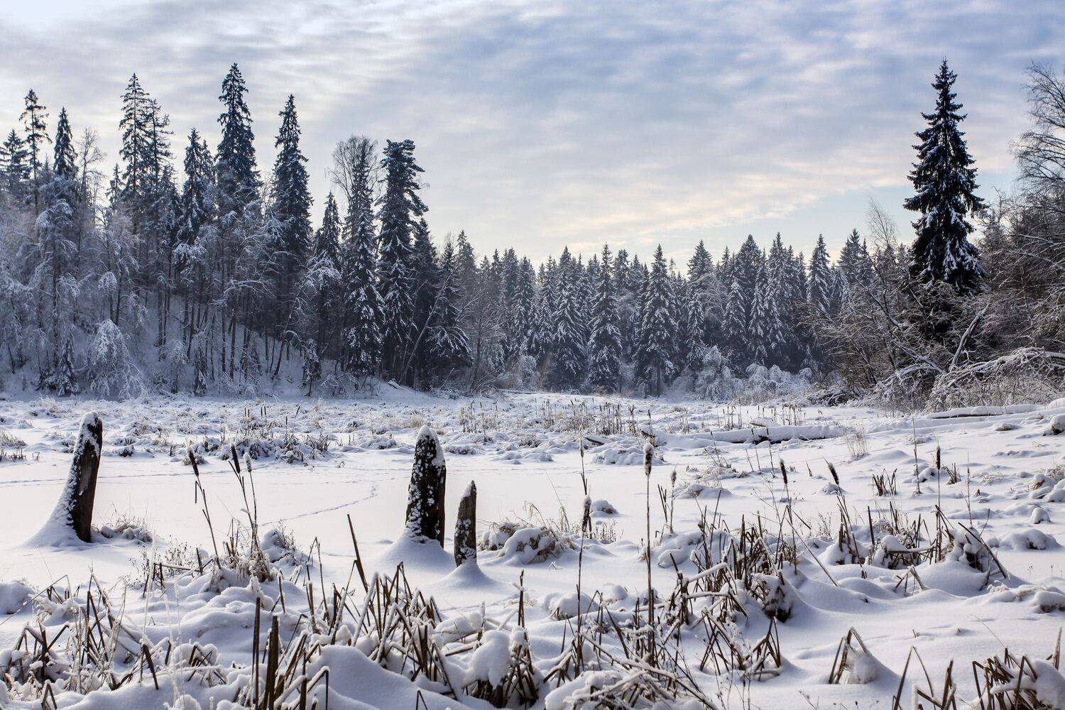 , Зеленько Дмитрий