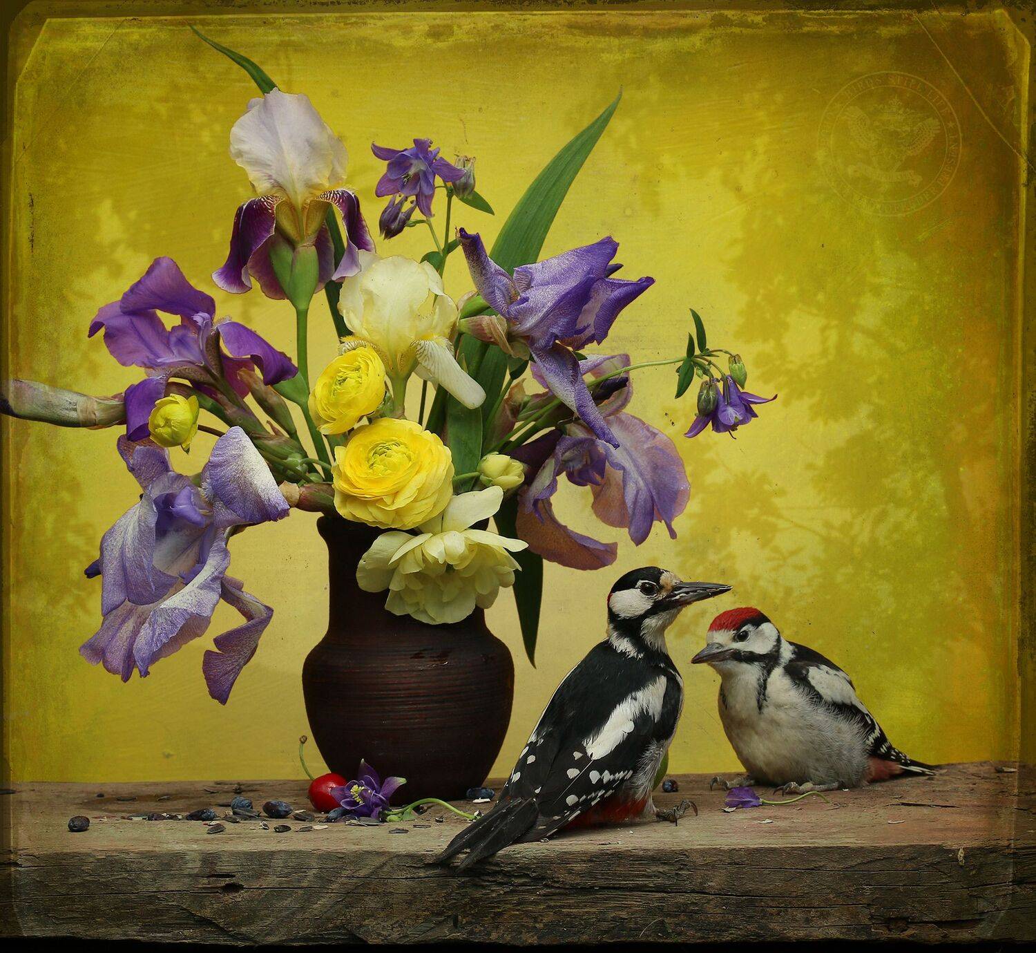 dendrocopos major, Хромушин Олег