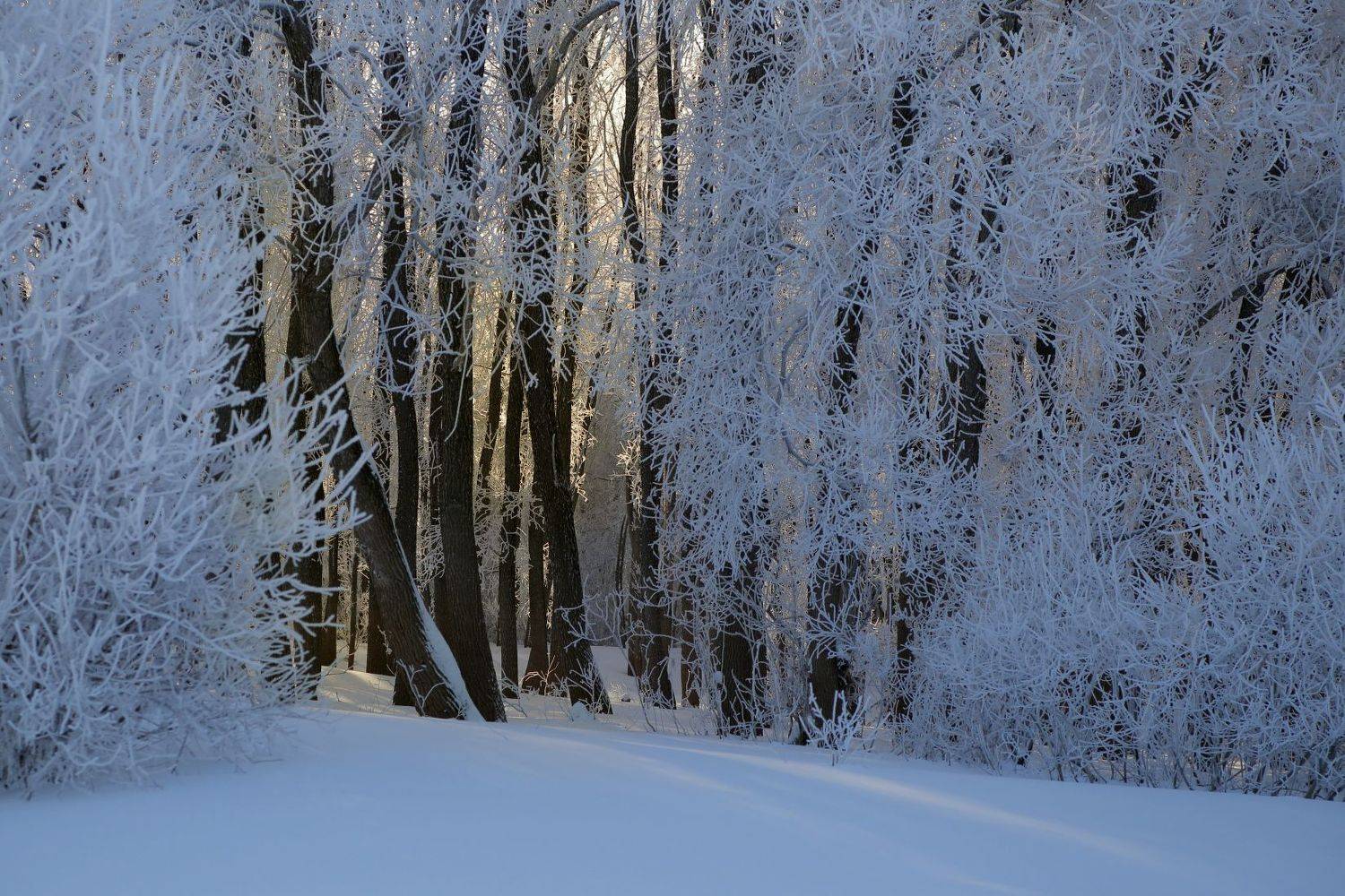 , Евгений Зинов