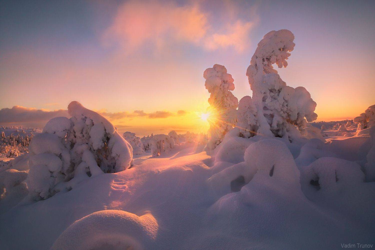 кольский, Вадим Трунов