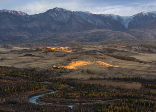 Курайская степь