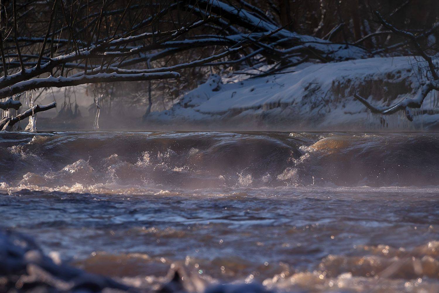 , Стрельцов Виталий