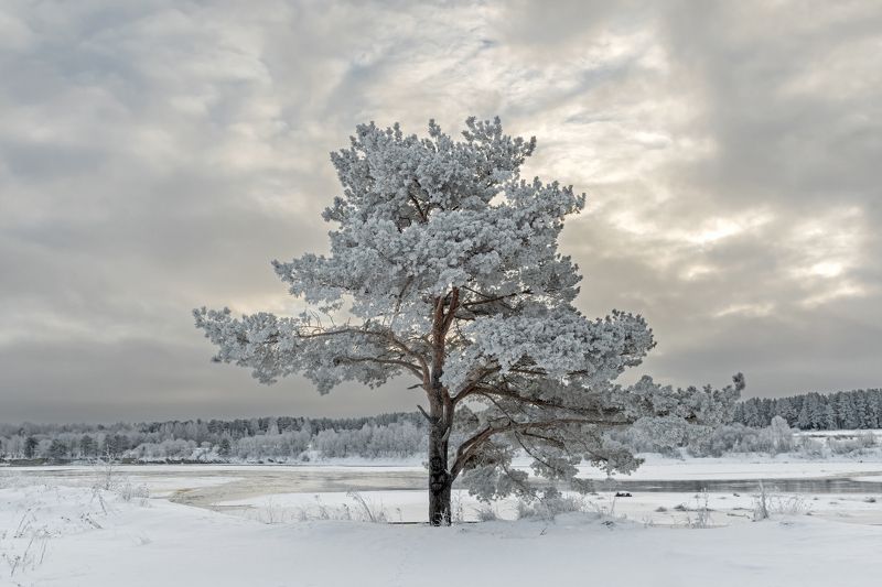Зима фото превью
