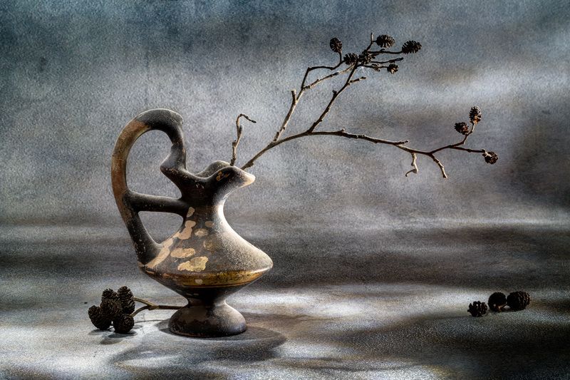 still life, close-up Still life with alder cones фото превью