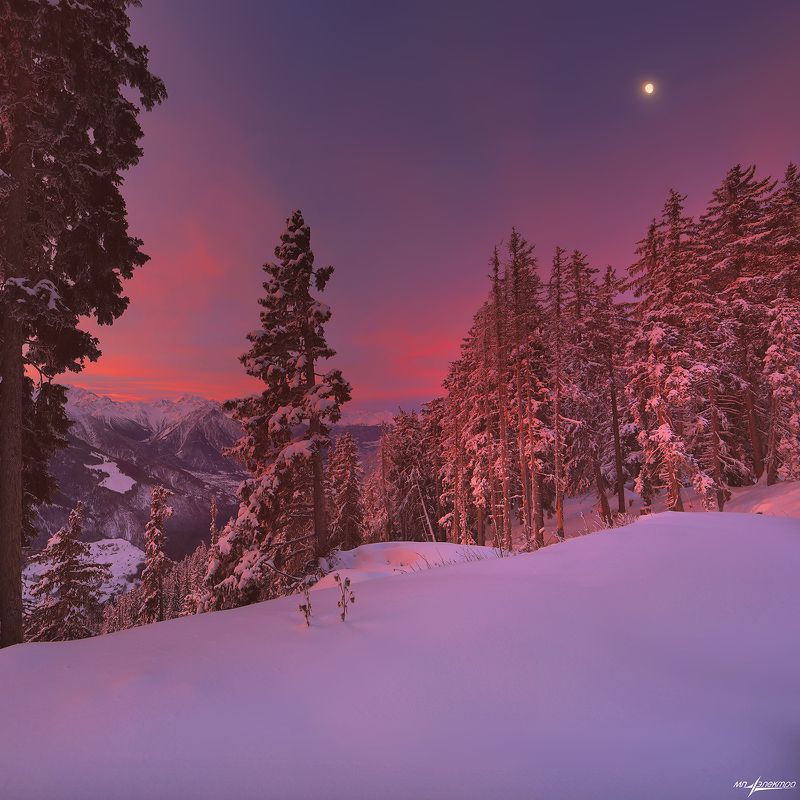 swiss,bettmeralp,зима,швейцария Зимнее утро... фото превью