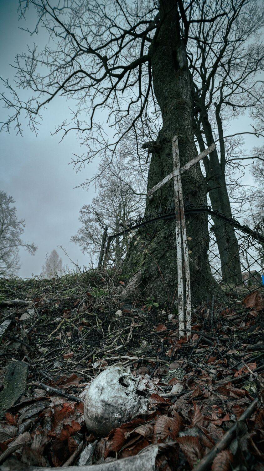 , Караваев Антон