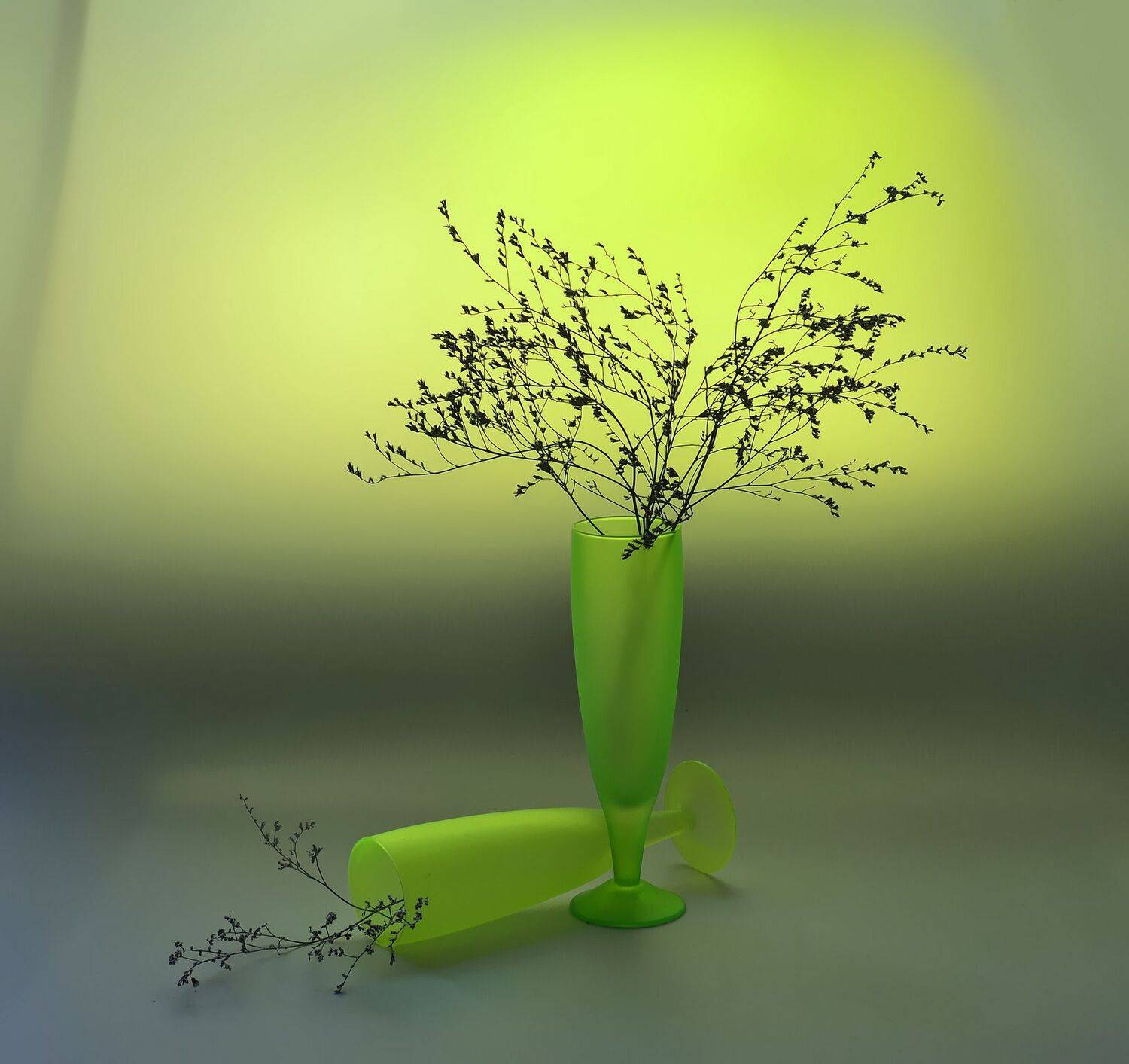 композиция,кермек,свет,цвет, Инаида