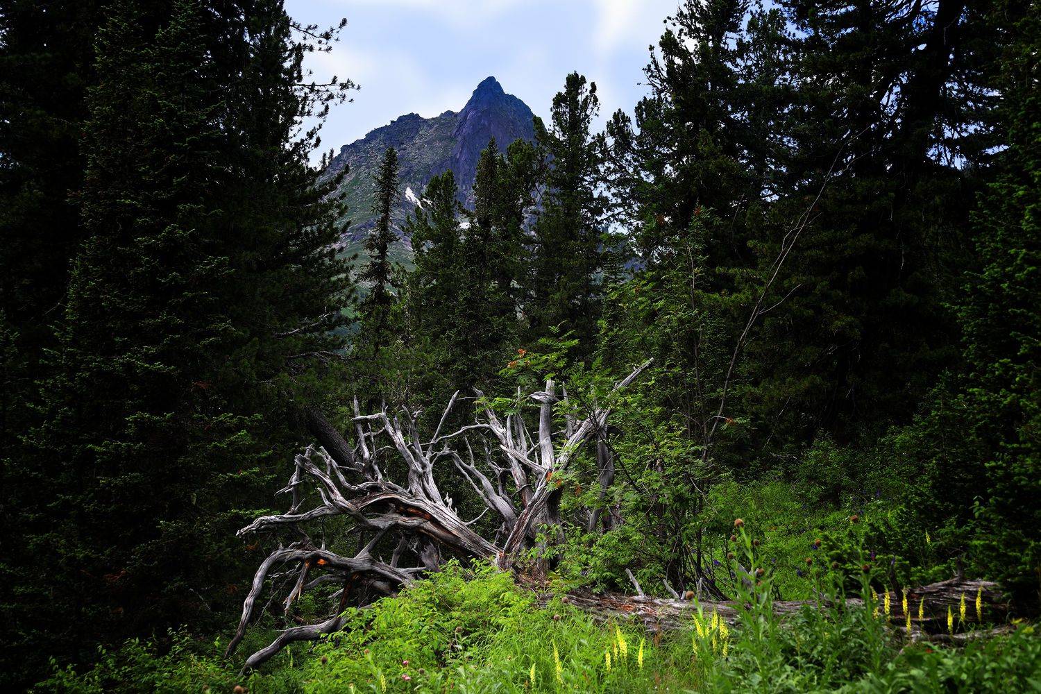 , Павел Мартюшев