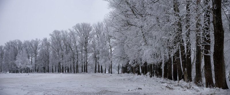 Зимние зарисовки фото превью