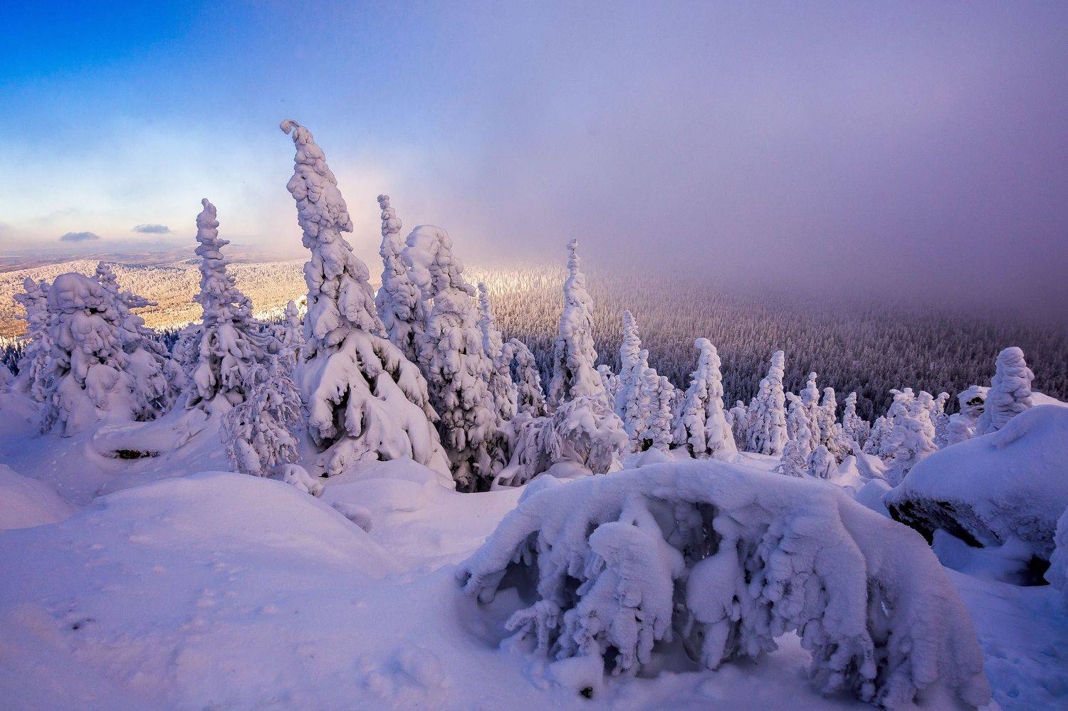 , Андрей Шарапов