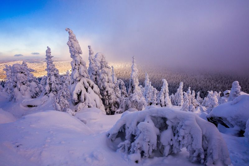 ******* фото превью