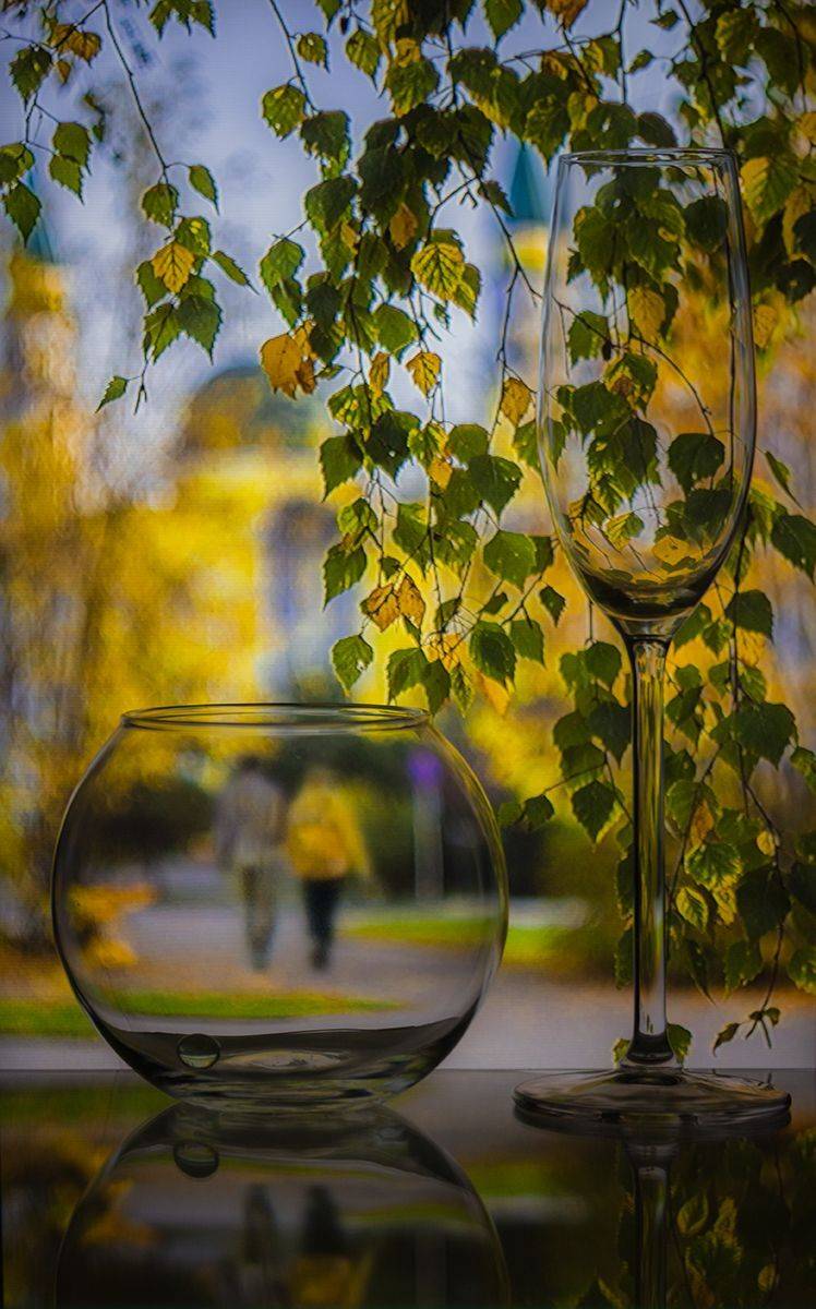 кострома, Елена Рубинская