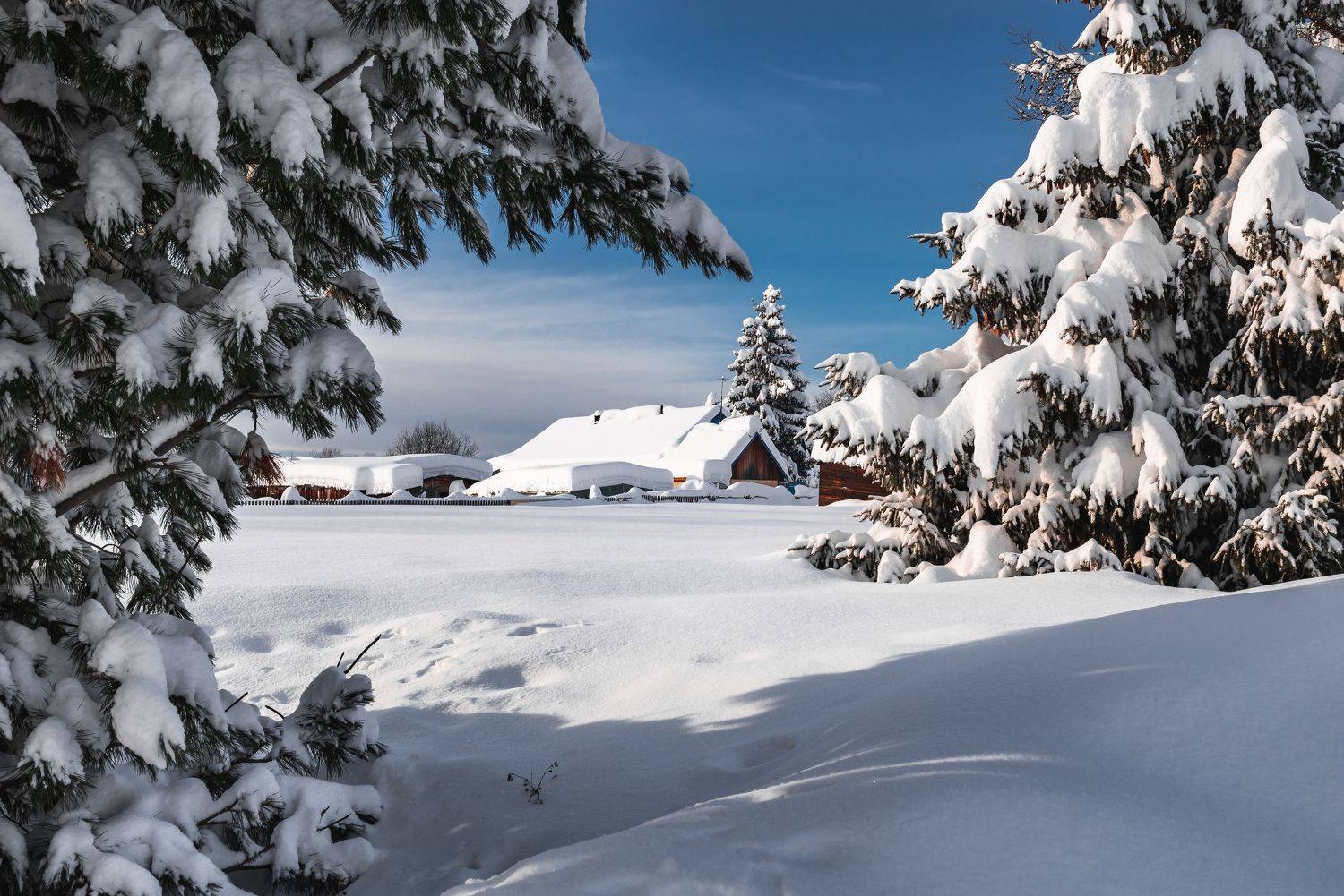 , Евгений Житников