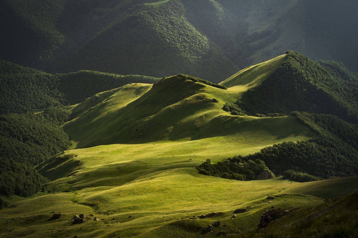 , Перевозчиков Андрей