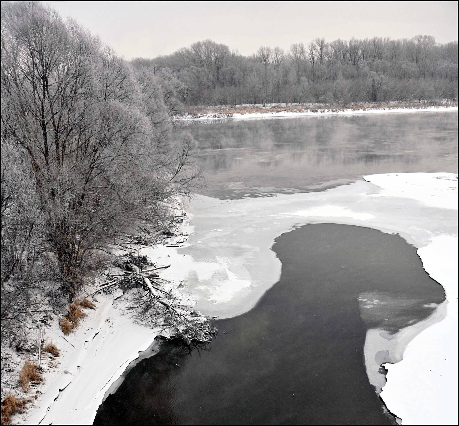, Меднов Влад