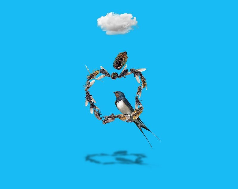 Updead фото превью