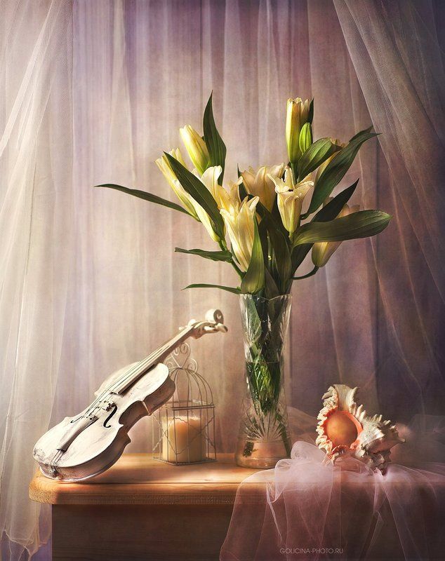 Лилия, Натюрморт, Скрипка Лилейные фото превью