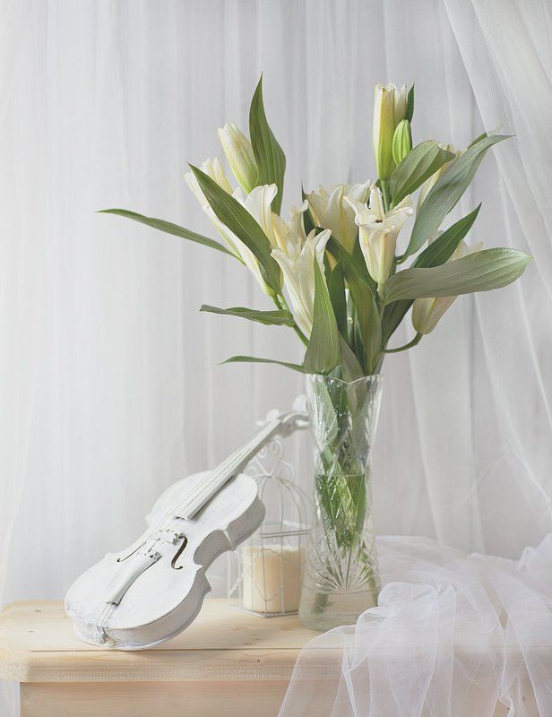 Лилия, Скрипка В высоком ключе фото превью