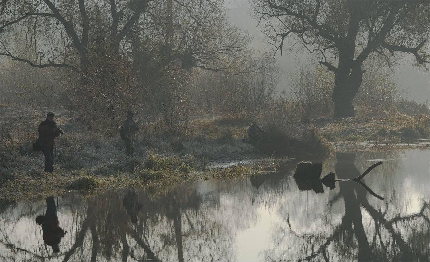 , Николай Шахманцир