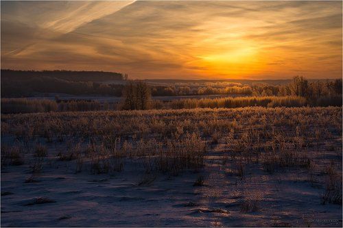 Медный рассвет