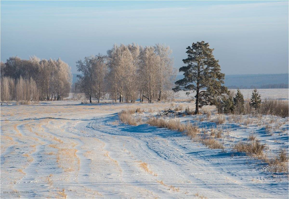 Зауралье, Зима, Курганская, Снег, Урал, Утро, Кутыгин Эдуард