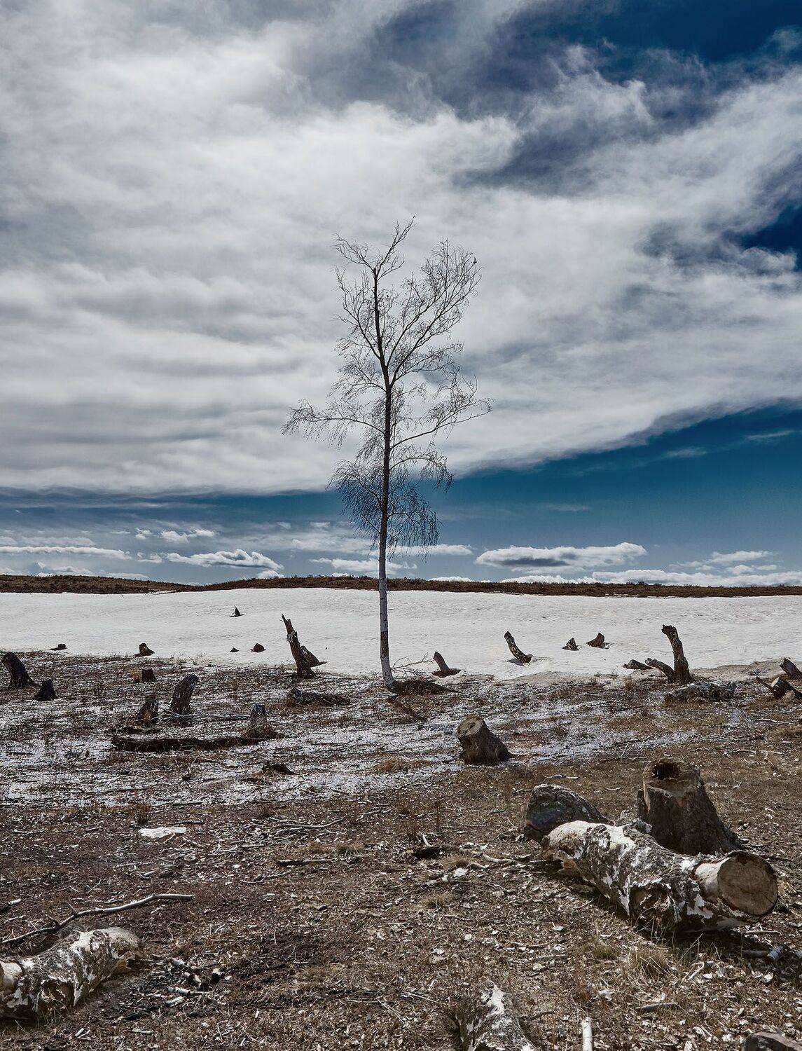 Весна на Урале, Губерля, Качурин алексей, Оренбургкая, Оренбургская область, Орск, Качурин Алексей