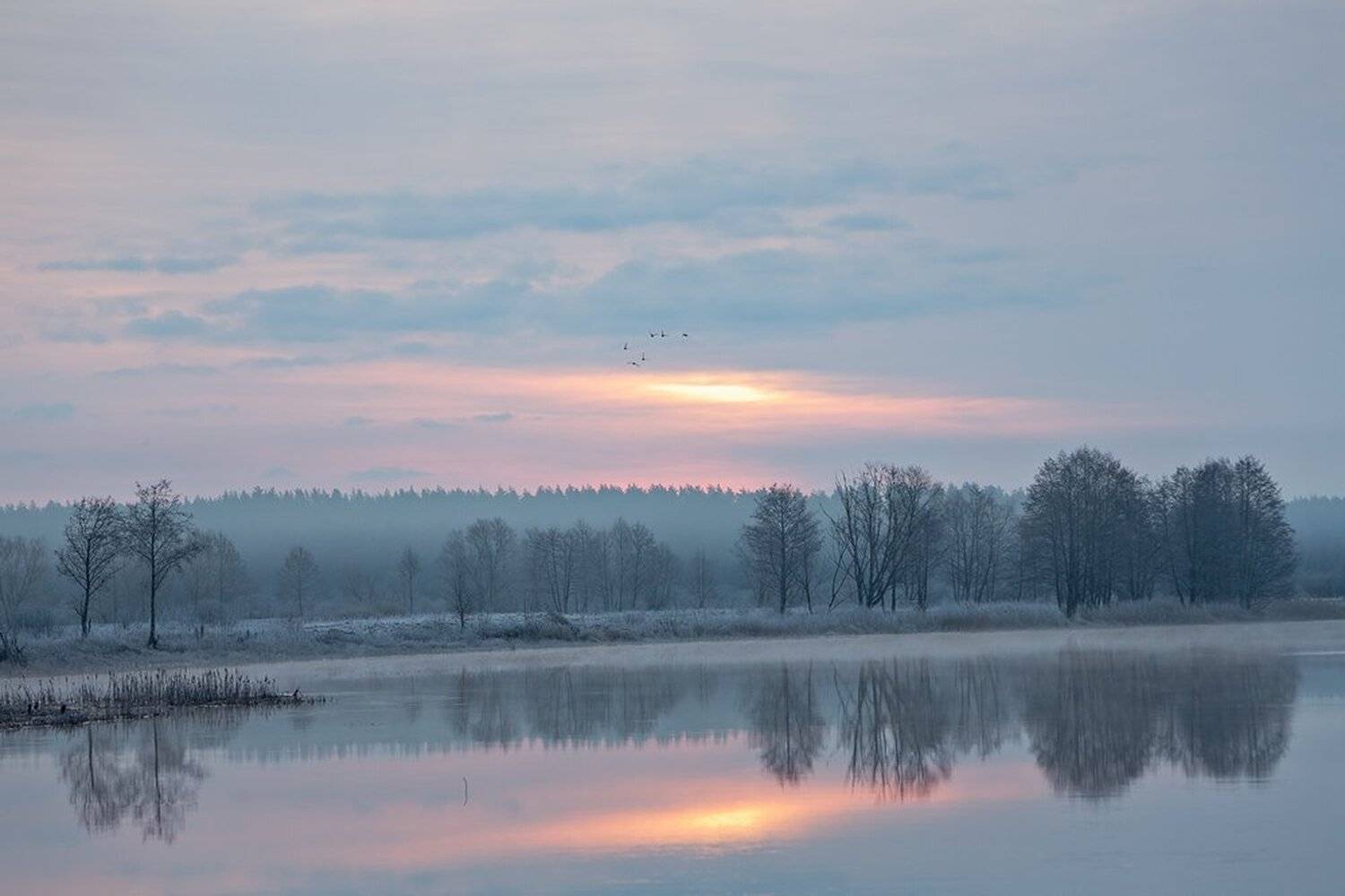 , Юрий Сорокин