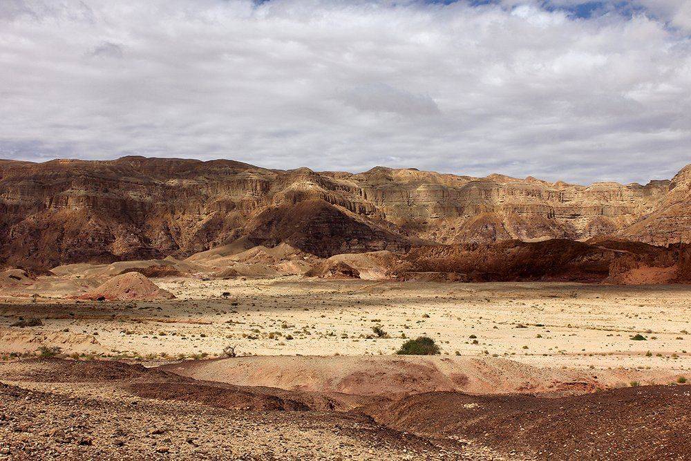 , Иваненко Светлана