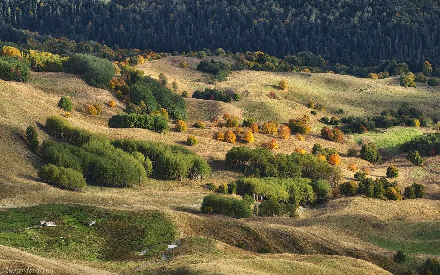 Кавказ, Кчр, Александр Круль