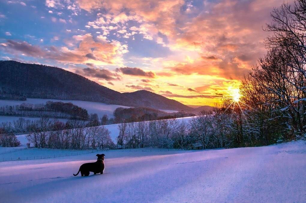 , Milo&scaron; Petru&scaron;