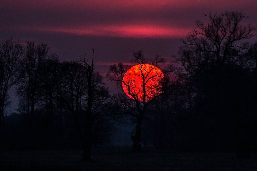 , Pawel Plucinski