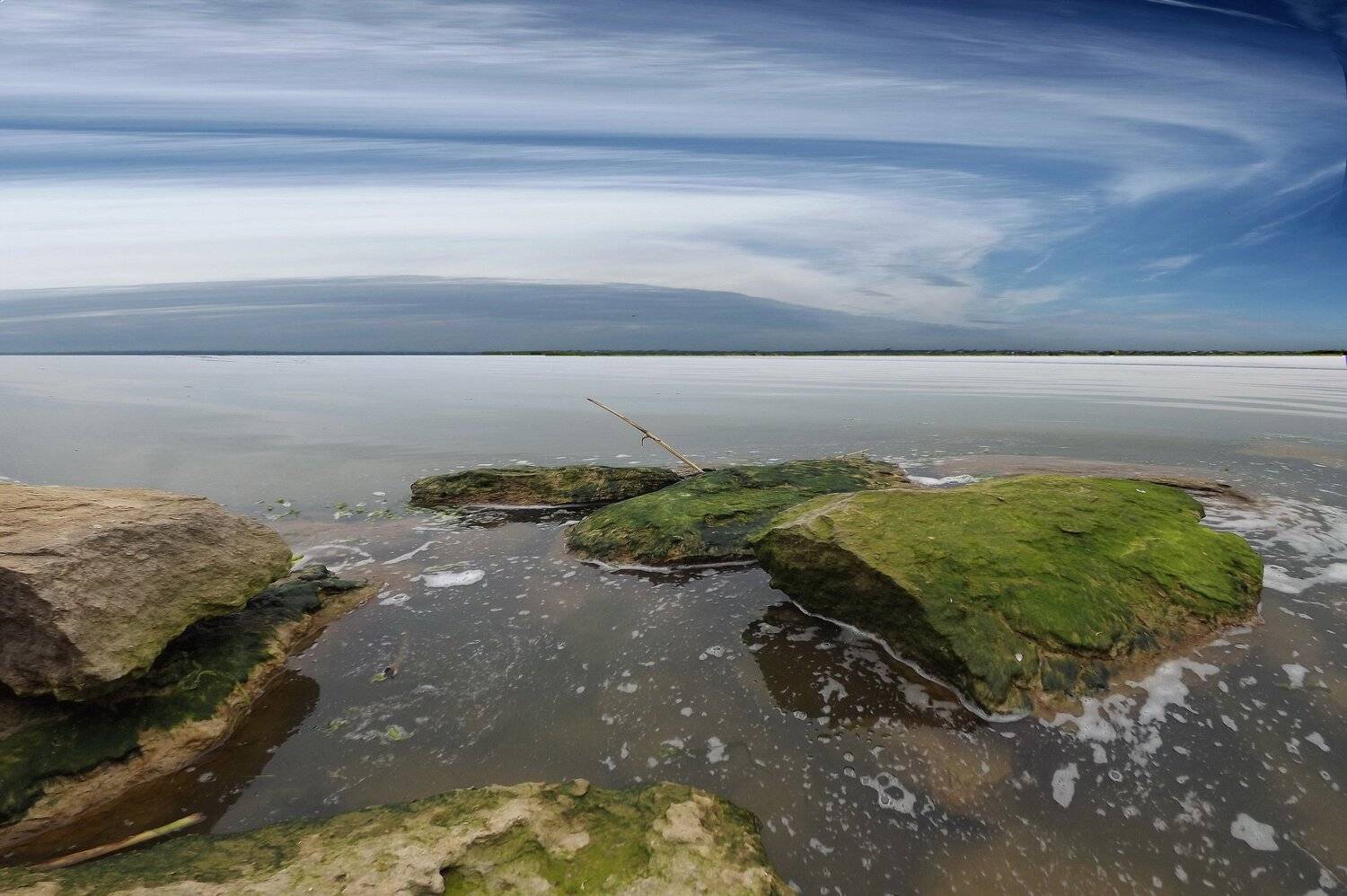 одесса, Сергей Кошелев