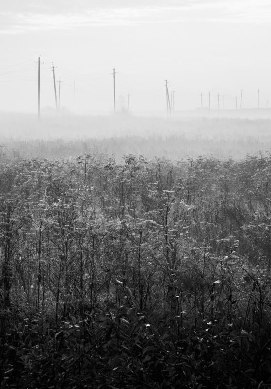 пейзаж, чб, линии, природа, связь * фото превью