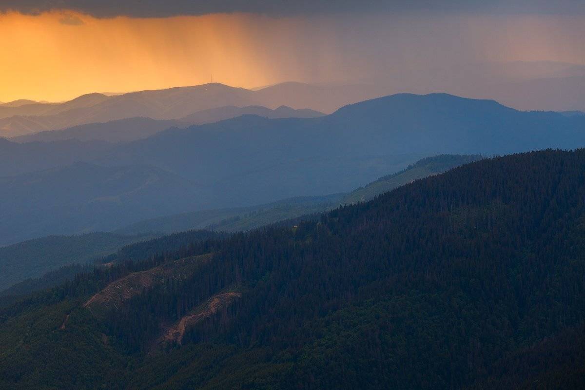 , Ярослав Тюрменко (Jaremi)