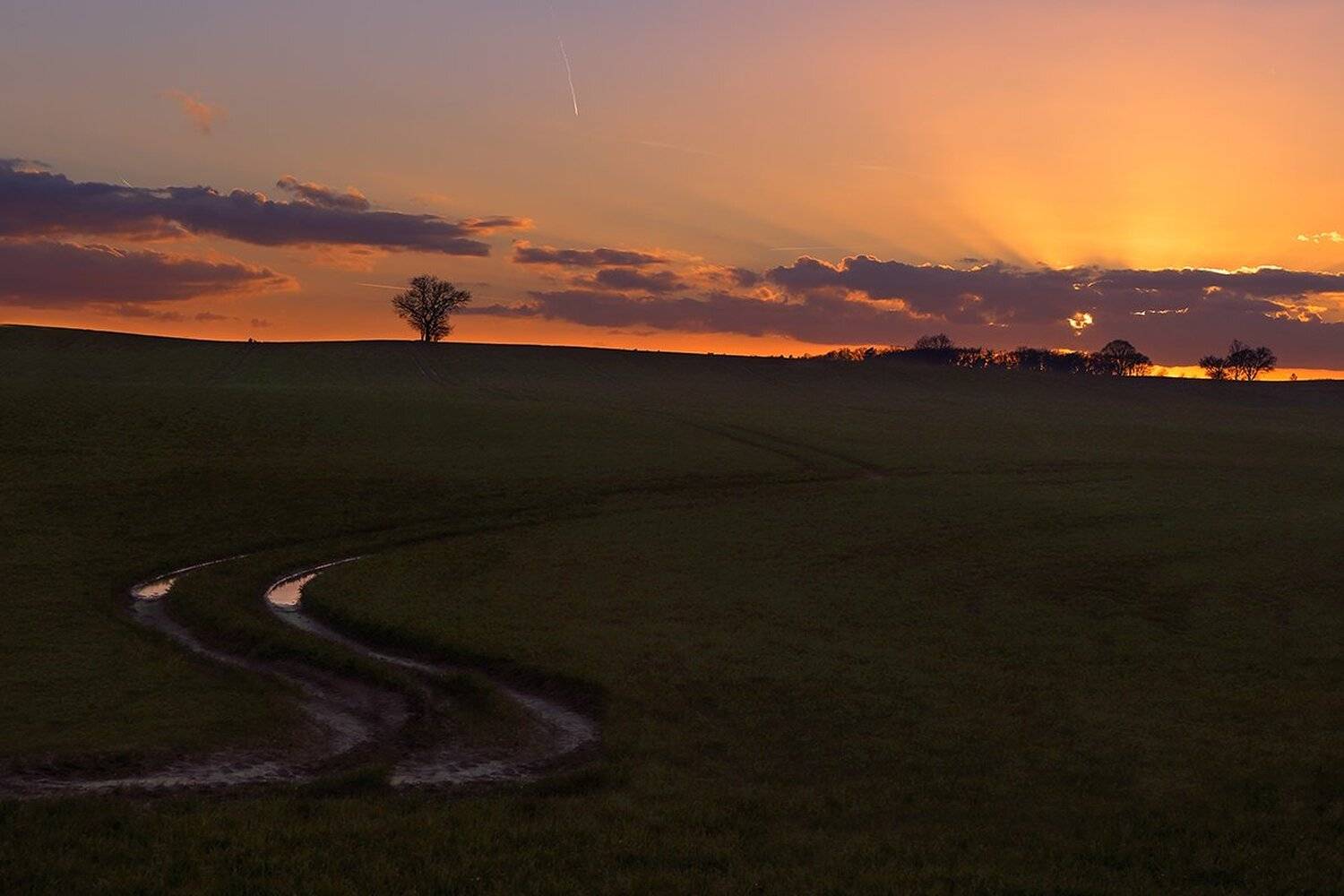 , Игорь Дубровский
