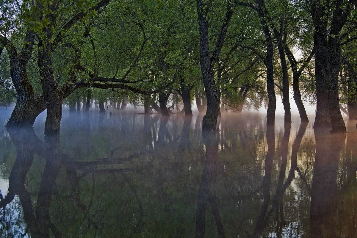 , Валерий Кондратов