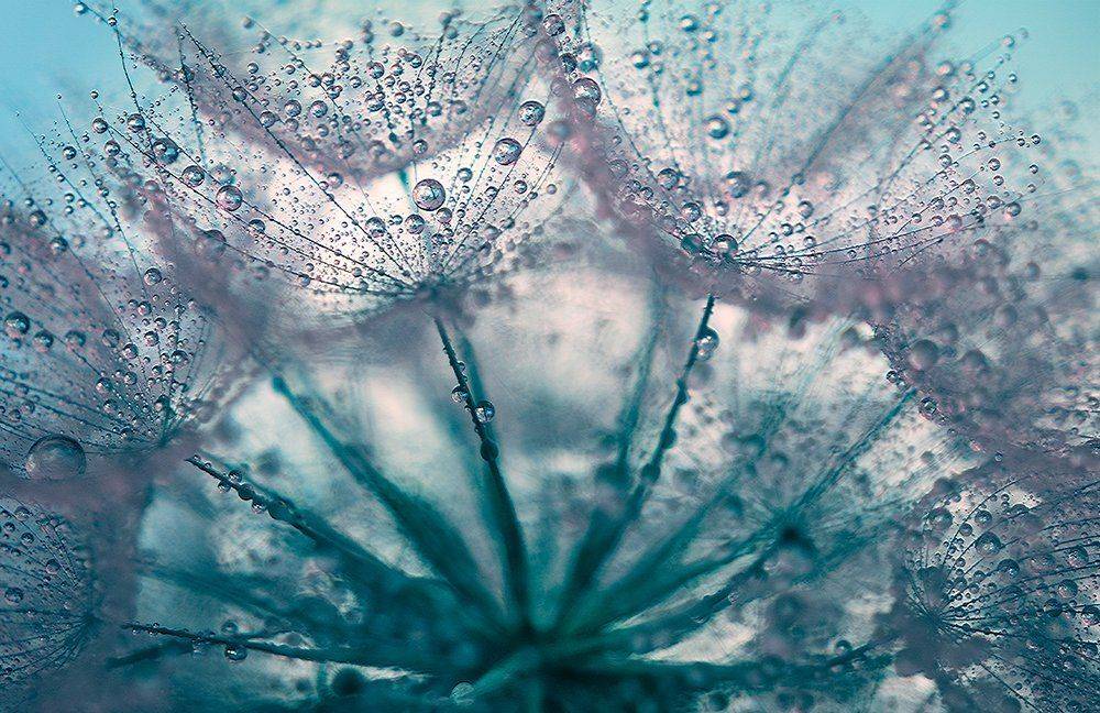 , Таня  Маркова