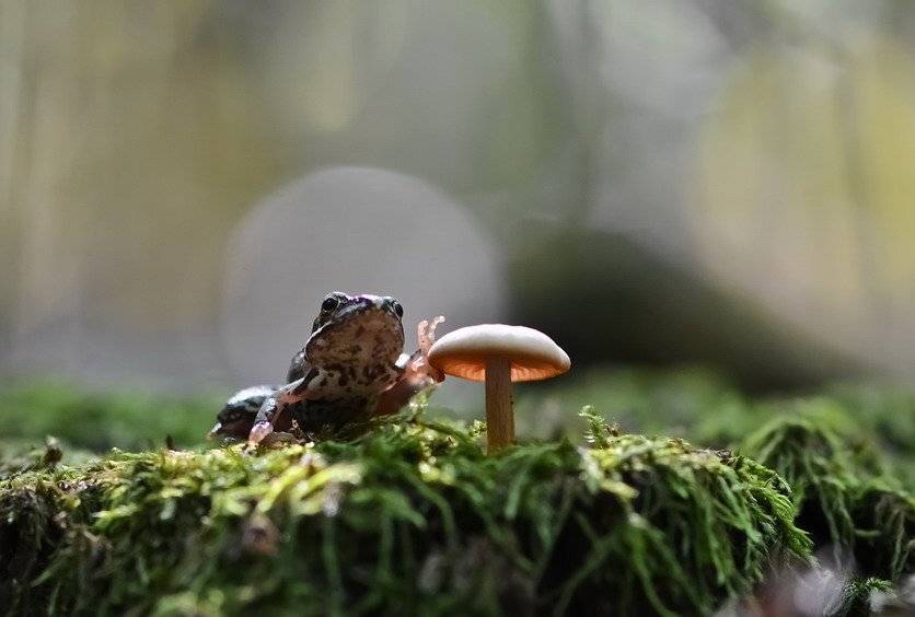 , Вячеслав Мищенко