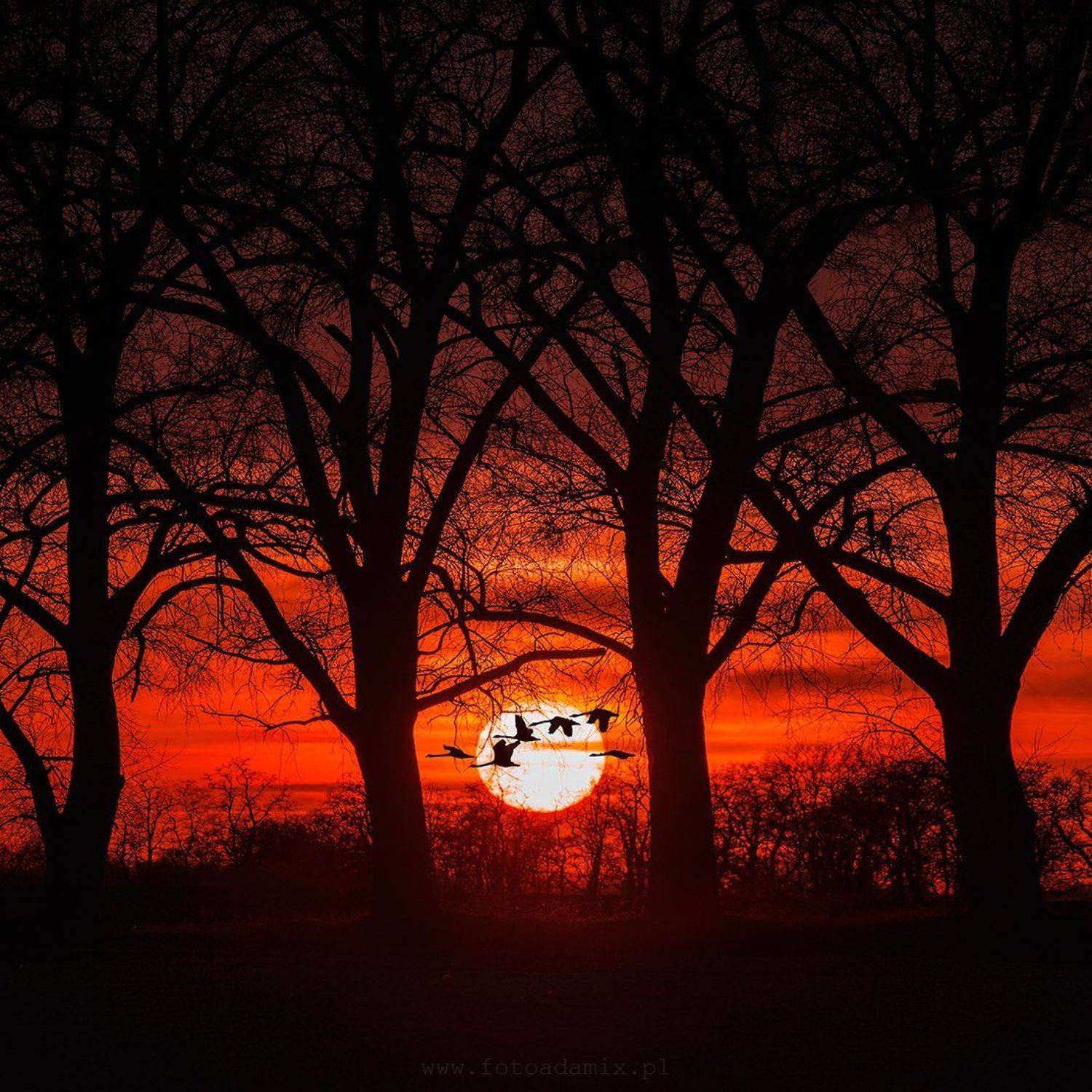 , Adam Wawrzyniak