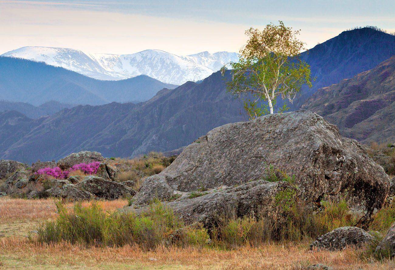 Алтай край, Качурин алексей, Оренбургская область, Орск, Качурин Алексей