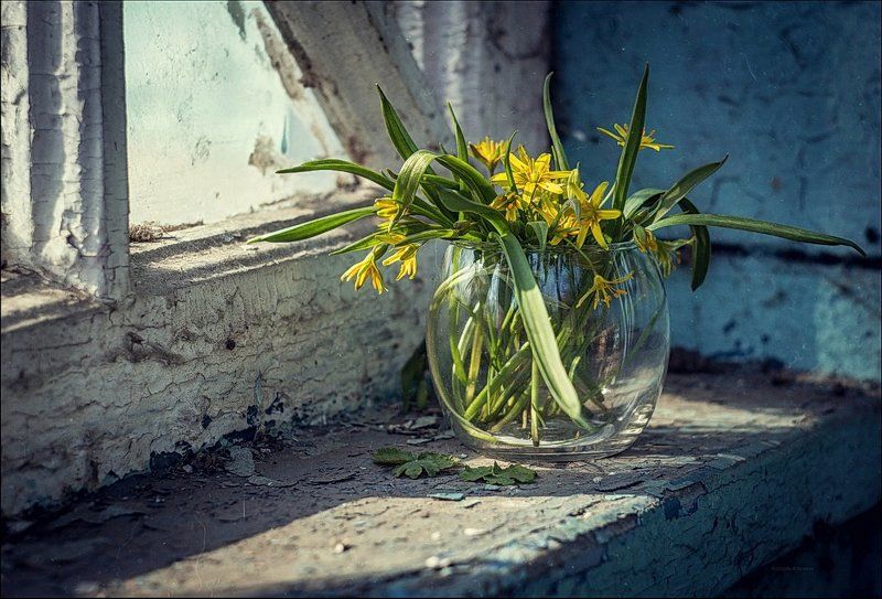 весна на подоконнике* фото превью
