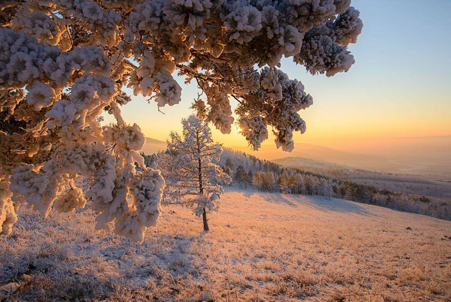 , Сергей Брагин