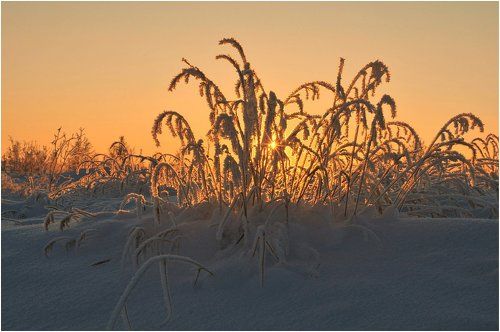 Весеннее солнце