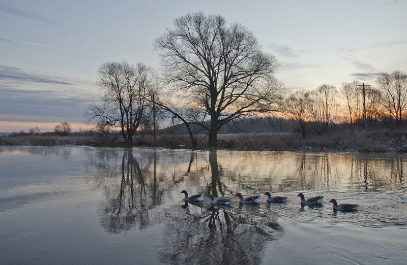 Планета вспаханных отражений фото превью