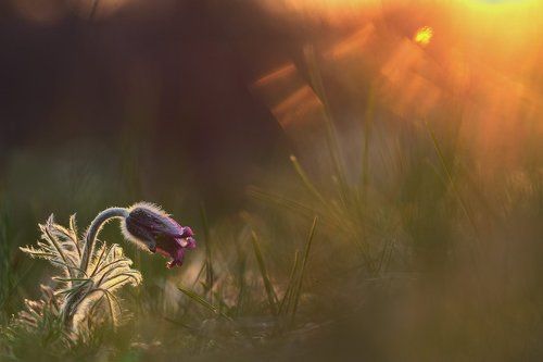 Минуты славы