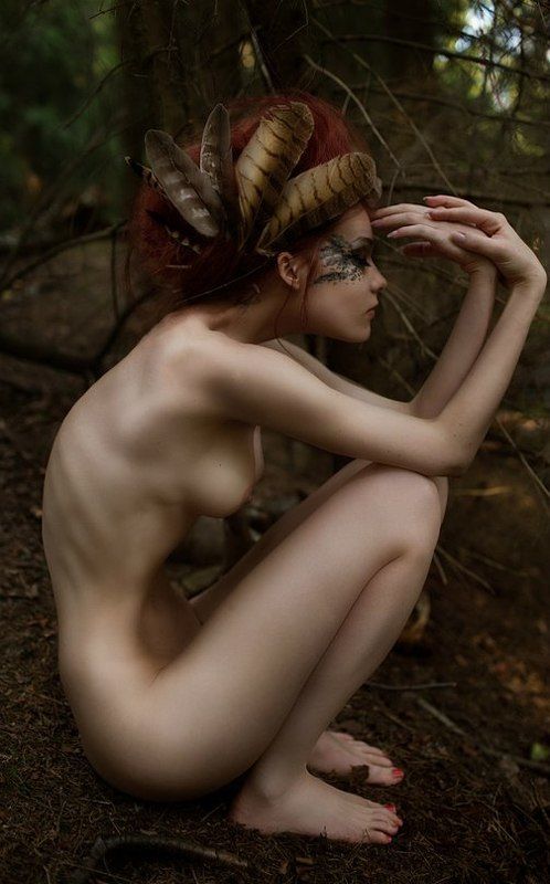 2014, В перьях, Чудо Чудо в перьях фото превью