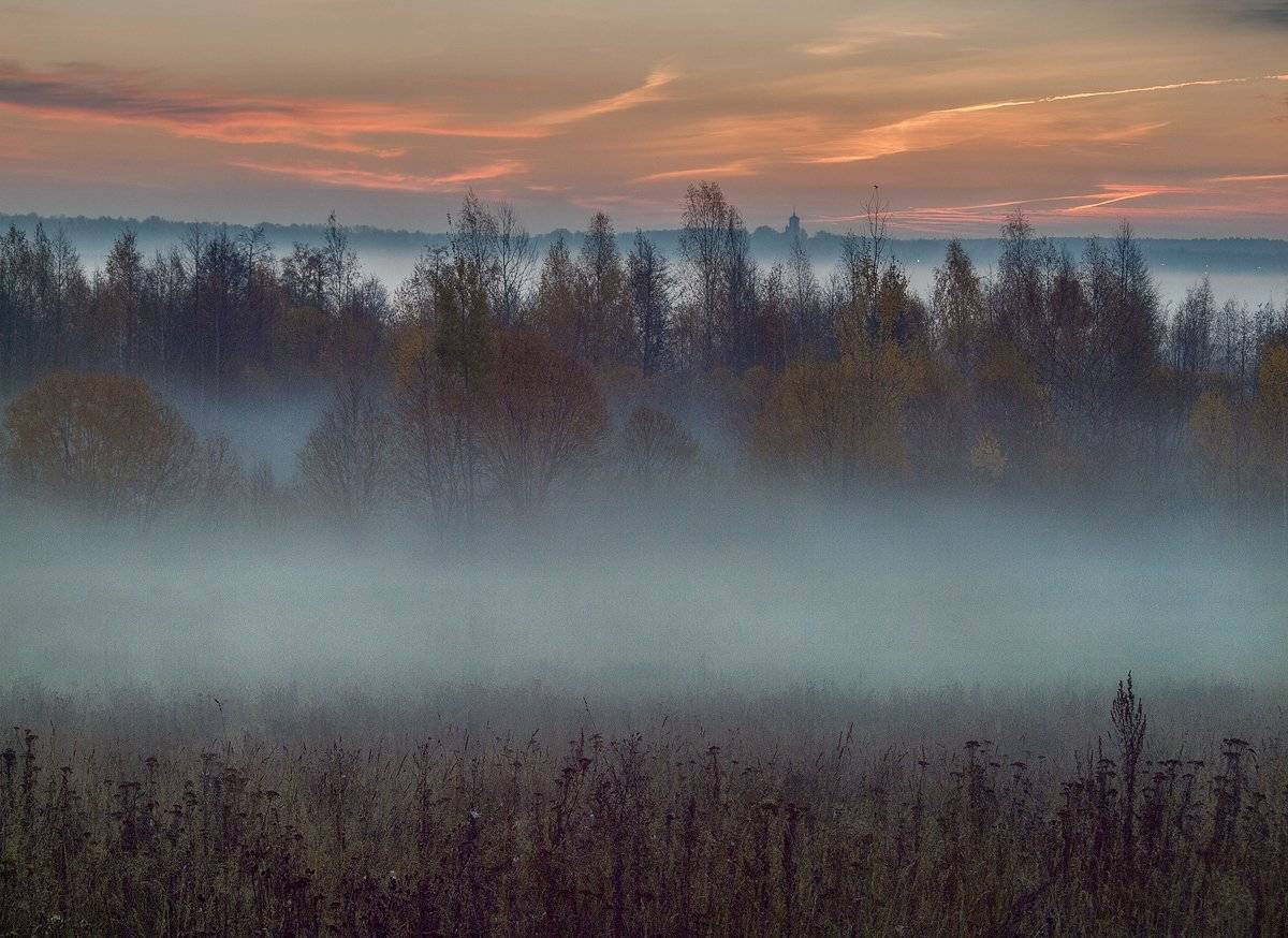 , Владимир Перепечаев