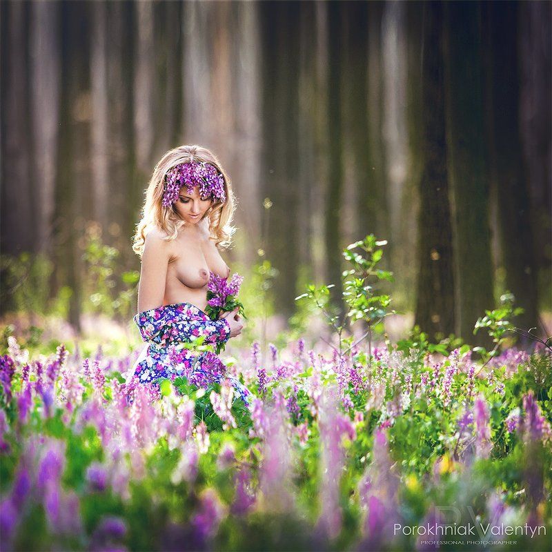 фото превью