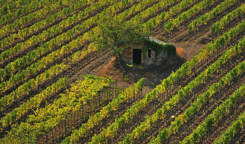 - фото превью